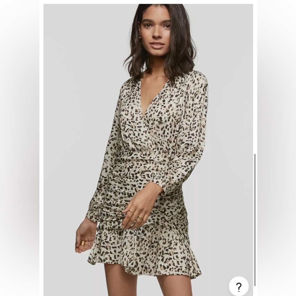 Anthropologie Greylin Tamara Leopard Print Mini Dress
Size small  $156